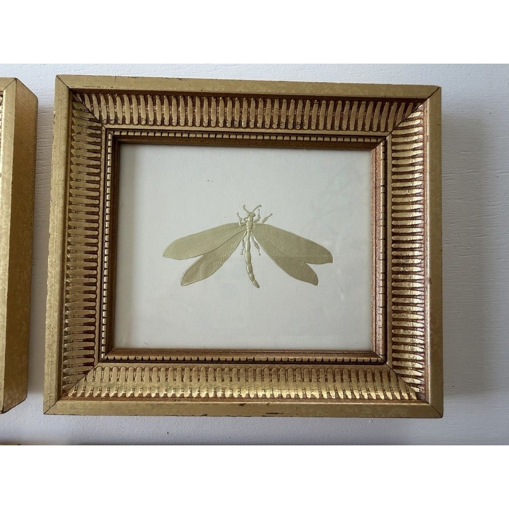 2005 "Bugs of Gold" Embossed Insect Prints – Kevin Lahvic – Gold Frames - Pier 1 - Picture 4 of 12